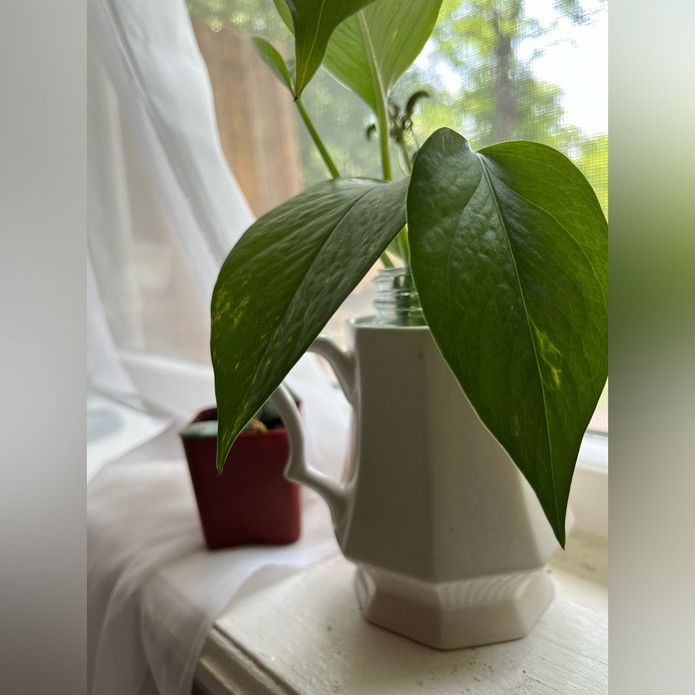 White Ceramic Teapot with Handle